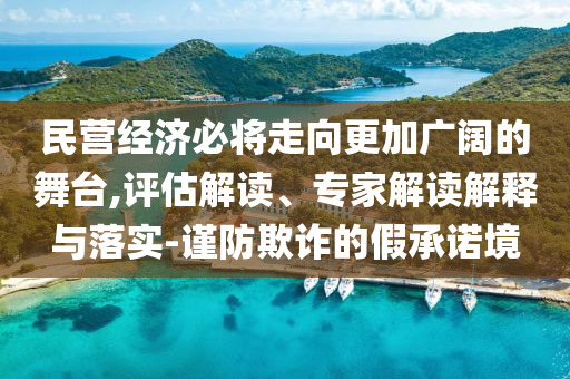 民營經濟必將走向更加廣闊的舞臺,評估解讀、專家解讀解釋與落實-謹防欺詐的假承諾境