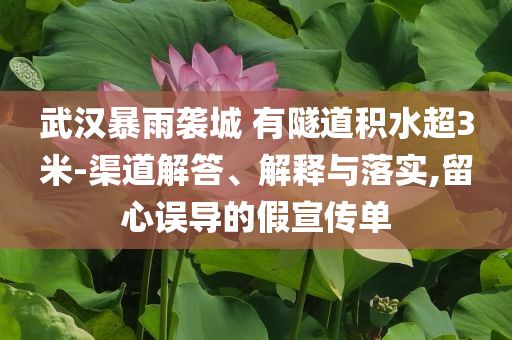 武漢暴雨襲城 有隧道積水超3米-渠道解答、解釋與落實,留心誤導(dǎo)的假宣傳單