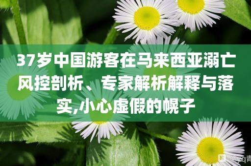37歲中國游客在馬來西亞溺亡風(fēng)控剖析、專家解析解釋與落實,小心虛假的幌子