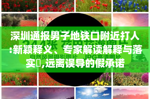深圳通報(bào)男子地鐵口附近打人:新穎釋義、專家解讀解釋與落實(shí)?,遠(yuǎn)離誤導(dǎo)的假承諾
