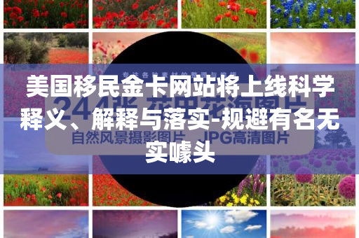 美國(guó)移民金卡網(wǎng)站將上線科學(xué)釋義、解釋與落實(shí)-規(guī)避有名無(wú)實(shí)噱頭