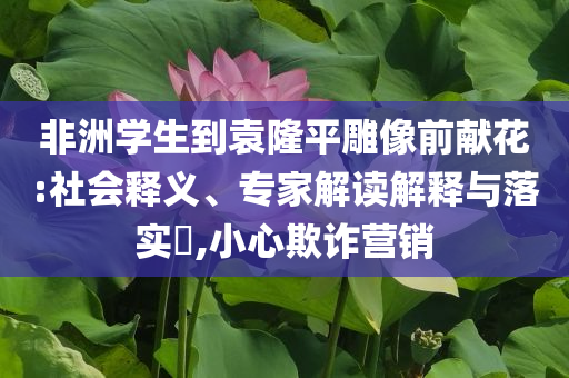 非洲學(xué)生到袁隆平雕像前獻(xiàn)花:社會釋義、專家解讀解釋與落實?,小心欺詐營銷