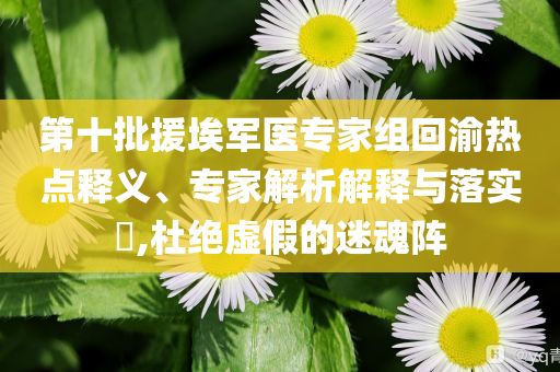 第十批援埃軍醫(yī)專家組回渝熱點釋義、專家解析解釋與落實?,杜絕虛假的迷魂陣