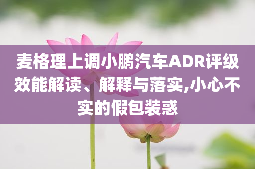 麥格理上調(diào)小鵬汽車ADR評級效能解讀、解釋與落實,小心不實的假包裝惑