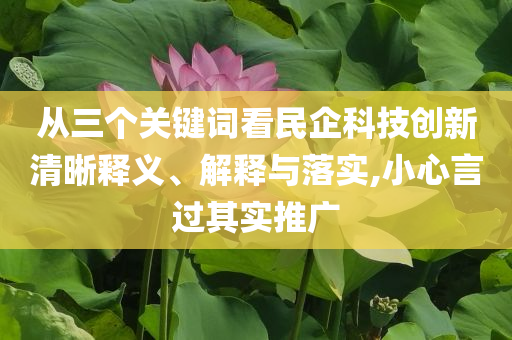 從三個(gè)關(guān)鍵詞看民企科技創(chuàng)新清晰釋義、解釋與落實(shí),小心言過其實(shí)推廣