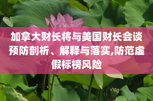 加拿大財(cái)長將與美國財(cái)長會(huì)談?lì)A(yù)防剖析、解釋與落實(shí),防范虛假標(biāo)榜風(fēng)險(xiǎn)