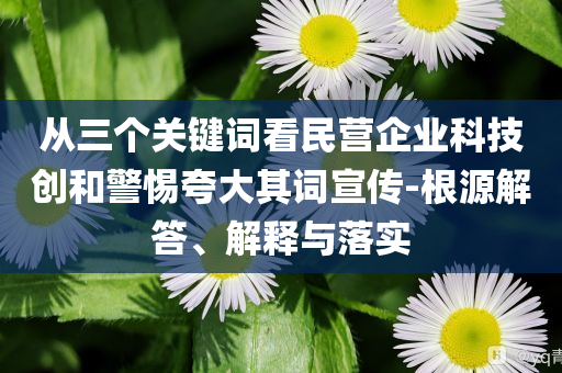 從三個(gè)關(guān)鍵詞看民營(yíng)企業(yè)科技創(chuàng)和警惕夸大其詞宣傳-根源解答、解釋與落實(shí)