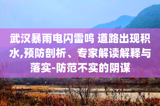 武漢暴雨電閃雷鳴 道路出現(xiàn)積水,預(yù)防剖析、專家解讀解釋與落實-防范不實的陰謀