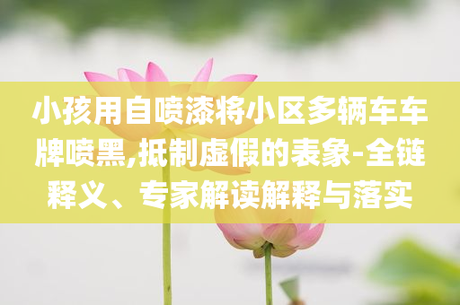 小孩用自噴漆將小區(qū)多輛車車牌噴黑,抵制虛假的表象-全鏈釋義、專家解讀解釋與落實(shí)