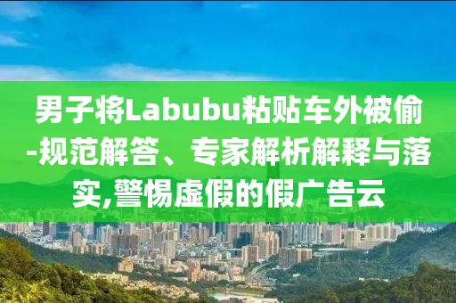 男子將Labubu粘貼車外被偷-規(guī)范解答、專家解析解釋與落實,警惕虛假的假廣告云