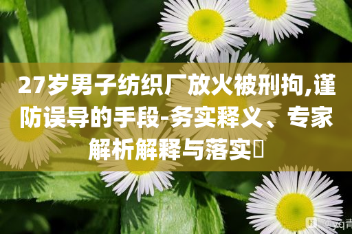 27歲男子紡織廠放火被刑拘,謹防誤導的手段-務(wù)實釋義、專家解析解釋與落實?