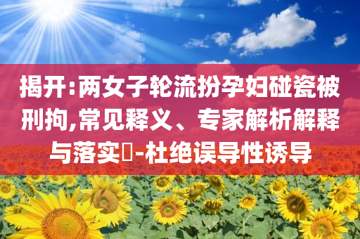 揭開(kāi):兩女子輪流扮孕婦碰瓷被刑拘,常見(jiàn)釋義、專家解析解釋與落實(shí)?-杜絕誤導(dǎo)性誘導(dǎo)