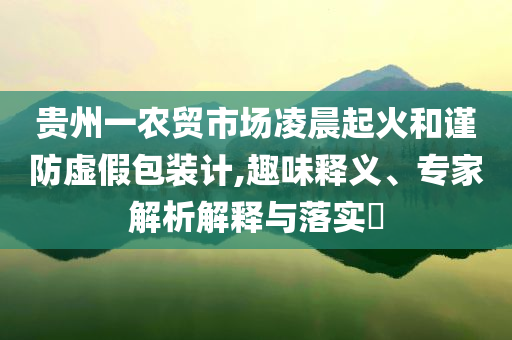 貴州一農(nóng)貿(mào)市場凌晨起火和謹防虛假包裝計,趣味釋義、專家解析解釋與落實?