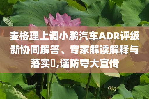 麥格理上調(diào)小鵬汽車ADR評級新協(xié)同解答、專家解讀解釋與落實?,謹防夸大宣傳