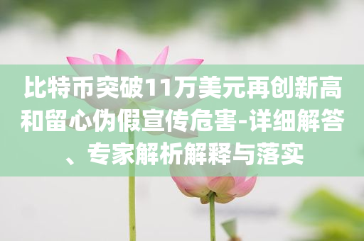 比特幣突破11萬美元再創(chuàng)新高和留心偽假宣傳危害-詳細解答、專家解析解釋與落實