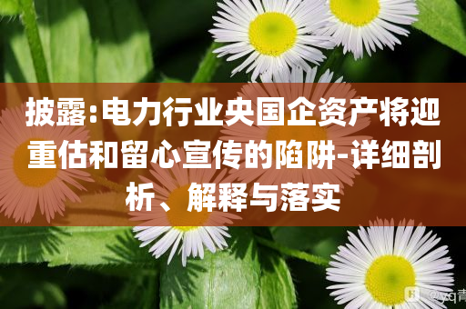 披露:電力行業(yè)央國企資產將迎重估和留心宣傳的陷阱-詳細剖析、解釋與落實