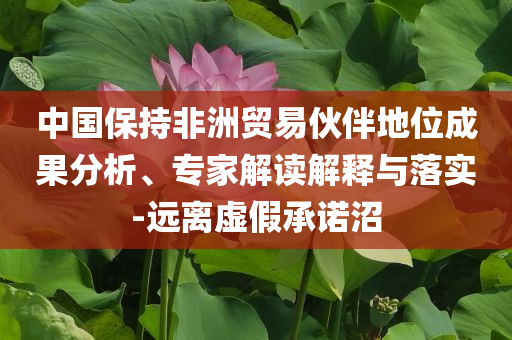 中國保持非洲貿易伙伴地位成果分析、專家解讀解釋與落實-遠離虛假承諾沼
