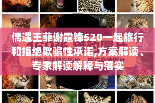偶遇王菲謝霆鋒520一起旅行和拒絕欺騙性承諾,方案解讀、專家解讀解釋與落實(shí)