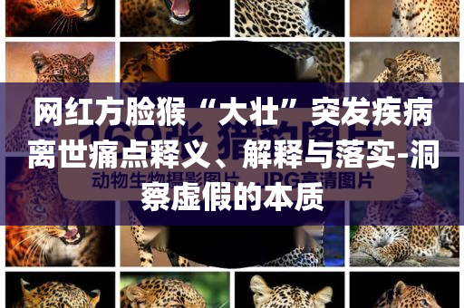 網紅方臉猴“大壯”突發(fā)疾病離世痛點釋義、解釋與落實-洞察虛假的本質