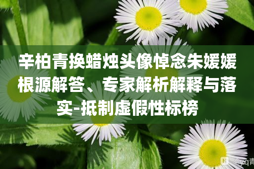 辛柏青換蠟燭頭像悼念朱媛媛根源解答、專家解析解釋與落實-抵制虛假性標(biāo)榜