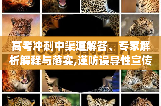 高考沖刺中渠道解答、專家解析解釋與落實(shí),謹(jǐn)防誤導(dǎo)性宣傳