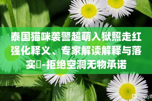 泰國(guó)貓咪襲警超萌入獄照走紅強(qiáng)化釋義、專家解讀解釋與落實(shí)?-拒絕空洞無(wú)物承諾
