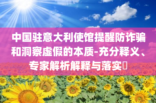 中國駐意大利使館提醒防詐騙和洞察虛假的本質-充分釋義、專家解析解釋與落實?