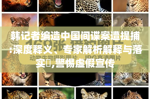 韓記者編造中國間諜案遭提捕:深度釋義、專家解析解釋與落實?,警惕虛假宣傳
