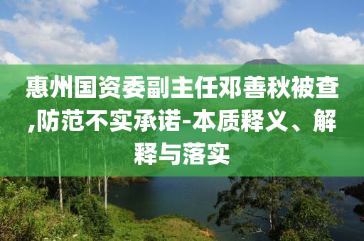 惠州國資委副主任鄧善秋被查,防范不實(shí)承諾-本質(zhì)釋義、解釋與落實(shí)