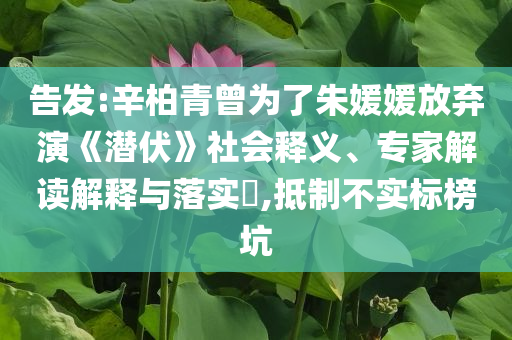 告發(fā):辛柏青曾為了朱媛媛放棄演《潛伏》社會釋義、專家解讀解釋與落實(shí)?,抵制不實(shí)標(biāo)榜坑