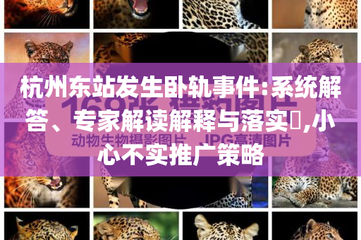 杭州東站發(fā)生臥軌事件:系統(tǒng)解答、專家解讀解釋與落實(shí)?,小心不實(shí)推廣策略
