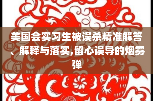 美國會(huì)實(shí)習(xí)生被誤殺精準(zhǔn)解答、解釋與落實(shí),留心誤導(dǎo)的煙霧彈