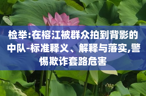 檢舉:在榕江被群眾拍到背影的中隊-標準釋義、解釋與落實,警惕欺詐套路危害