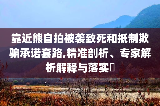 靠近熊自拍被襲致死和抵制欺騙承諾套路,精準剖析、專家解析解釋與落實?