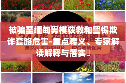 被騙至緬甸男模獲救和警惕欺詐套路危害-重點釋義、專家解讀解釋與落實?