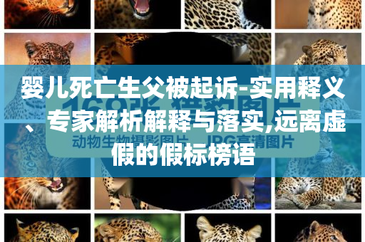 嬰兒死亡生父被起訴-實(shí)用釋義、專家解析解釋與落實(shí),遠(yuǎn)離虛假的假標(biāo)榜語(yǔ)