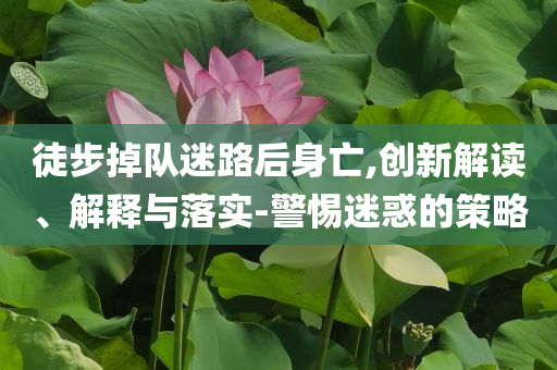 徒步掉隊(duì)迷路后身亡,創(chuàng)新解讀、解釋與落實(shí)-警惕迷惑的策略