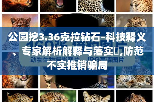公園挖3.36克拉鉆石-科技釋義、專家解析解釋與落實(shí)?,防范不實(shí)推銷騙局