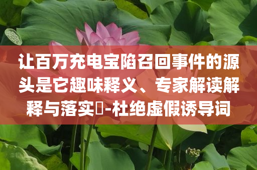 讓百萬充電寶陷召回事件的源頭是它趣味釋義、專家解讀解釋與落實(shí)?-杜絕虛假誘導(dǎo)詞