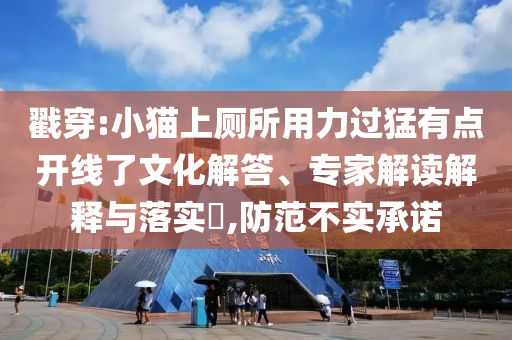 戳穿:小貓上廁所用力過猛有點開線了文化解答、專家解讀解釋與落實?,防范不實承諾