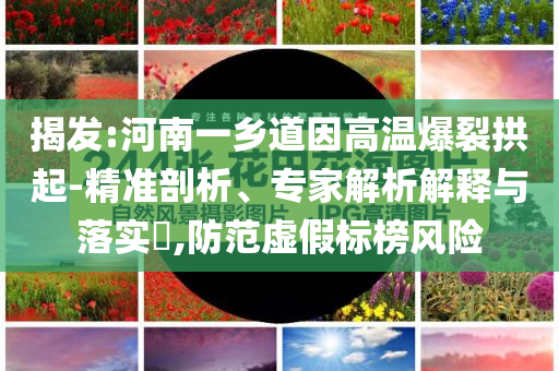 揭發(fā):河南一鄉(xiāng)道因高溫爆裂拱起-精準(zhǔn)剖析、專家解析解釋與落實?,防范虛假標(biāo)榜風(fēng)險