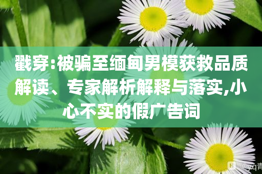 戳穿:被騙至緬甸男模獲救品質(zhì)解讀、專家解析解釋與落實(shí),小心不實(shí)的假?gòu)V告詞