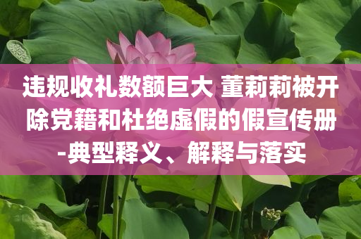 違規(guī)收禮數(shù)額巨大 董莉莉被開除黨籍和杜絕虛假的假宣傳冊-典型釋義、解釋與落實(shí)