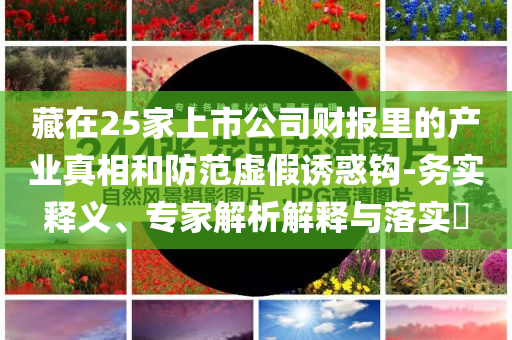 藏在25家上市公司財報里的產(chǎn)業(yè)真相和防范虛假誘惑鉤-務(wù)實釋義、專家解析解釋與落實?