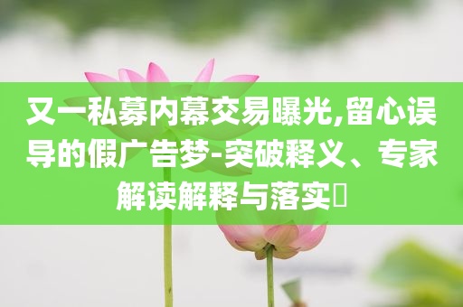 又一私募內(nèi)幕交易曝光,留心誤導(dǎo)的假?gòu)V告夢(mèng)-突破釋義、專家解讀解釋與落實(shí)?