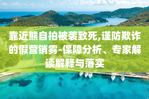 靠近熊自拍被襲致死,謹(jǐn)防欺詐的假營(yíng)銷(xiāo)霧-保障分析、專(zhuān)家解讀解釋與落實(shí)