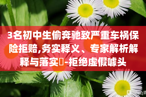 3名初中生偷奔馳致嚴重車禍保險拒賠,務實釋義、專家解析解釋與落實?-拒絕虛假噱頭