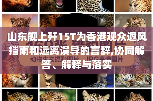 山東艦上殲15T為香港觀眾遮風(fēng)擋雨和遠(yuǎn)離誤導(dǎo)的言辭,協(xié)同解答、解釋與落實