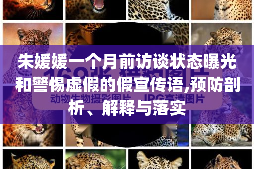 朱媛媛一個(gè)月前訪談狀態(tài)曝光和警惕虛假的假宣傳語(yǔ),預(yù)防剖析、解釋與落實(shí)