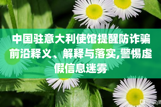中國駐意大利使館提醒防詐騙前沿釋義、解釋與落實(shí),警惕虛假信息迷霧